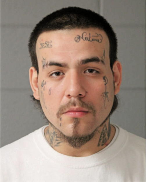JERRY J MINARD, Cook County, Illinois