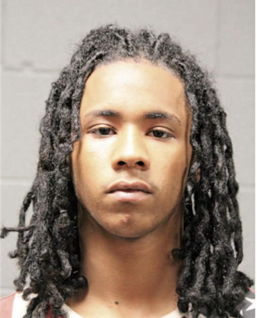 ALBERTO K NELSON, Cook County, Illinois