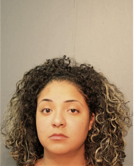 STEPHANIE M PAGAN, Cook County, Illinois