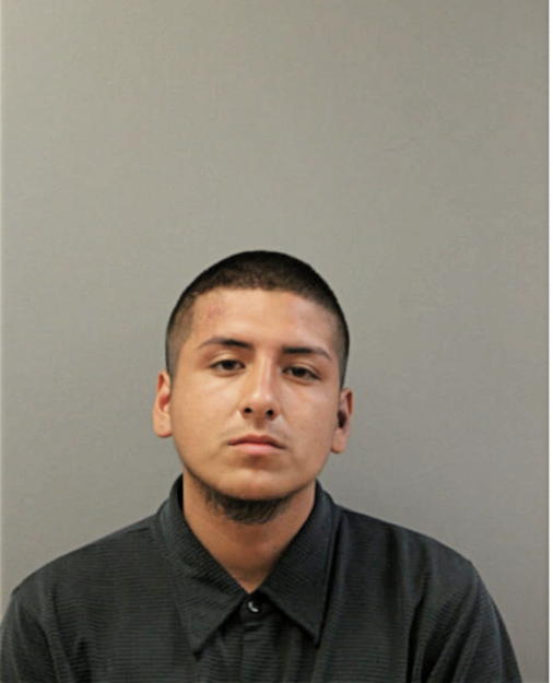 JOHN D PERALTA, Cook County, Illinois