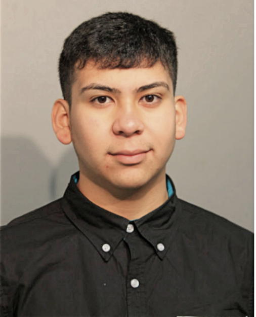 RAFAEL A PEREZ, Cook County, Illinois