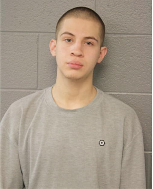 ADRIAN C PONCE, Cook County, Illinois