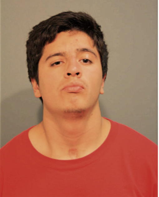 JULIO C PONCE, Cook County, Illinois