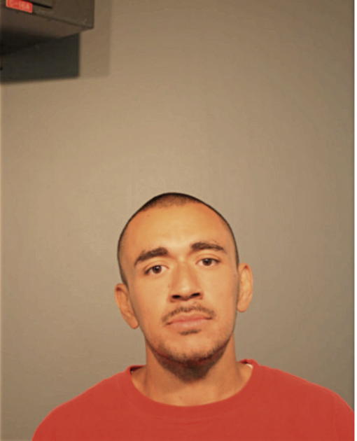 PABLO REYES, Cook County, Illinois