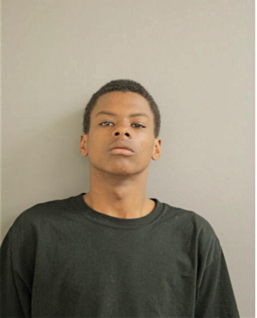BRIAN T RICHARDSON, Cook County, Illinois
