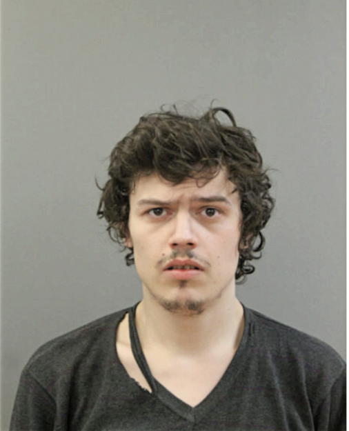 ALEKSANDAR SPASOJEVIC, Cook County, Illinois