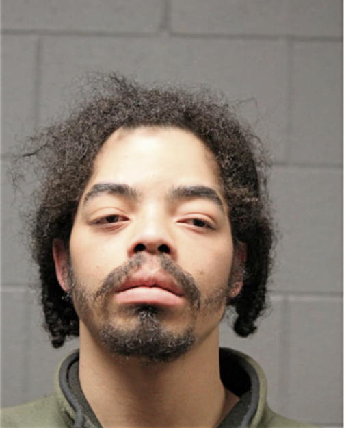RUDY M THOMPSON, Cook County, Illinois