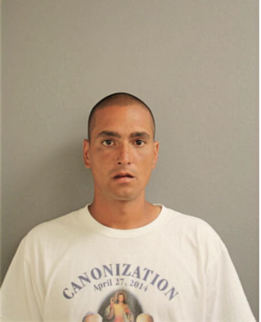 MELENDEZ VEGA, Cook County, Illinois
