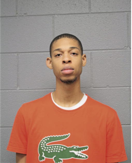 DERRICK C WOODS, Cook County, Illinois