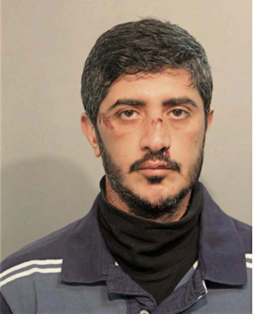 TEARY N YOUNAN, Cook County, Illinois