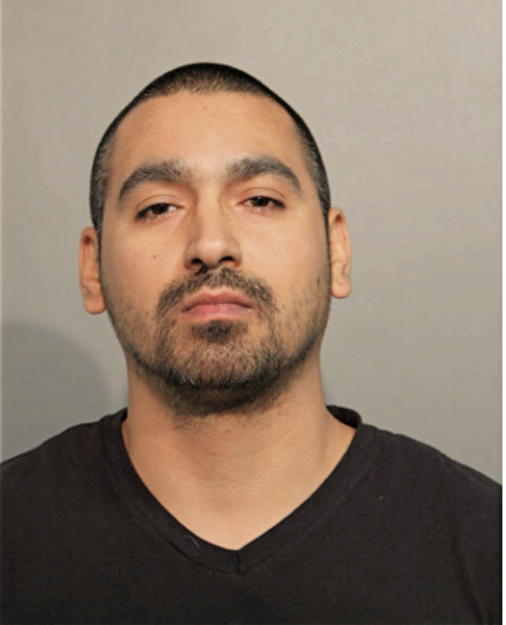 ANTHONY R AVILEZ, Cook County, Illinois