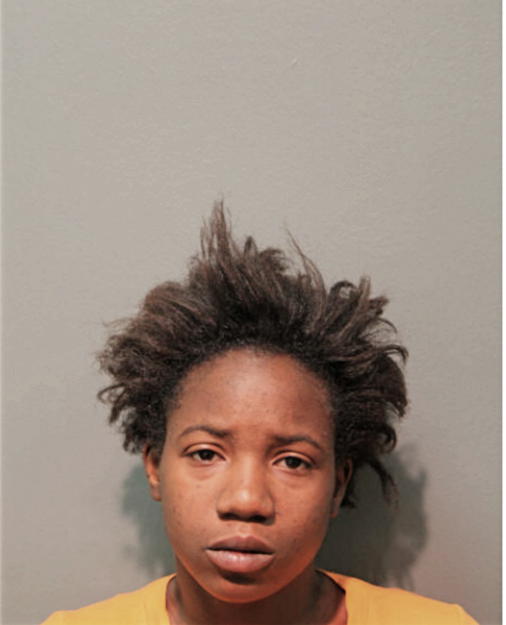 ERICA R JOHNSON, Cook County, Illinois
