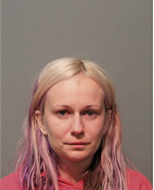 AGNIESZKA E KOPEC, Cook County, Illinois