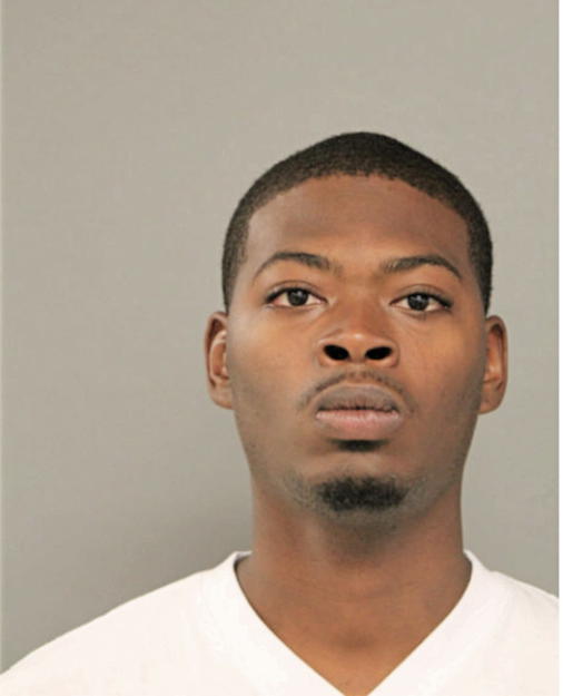 MICHAEL P LEE, Cook County, Illinois
