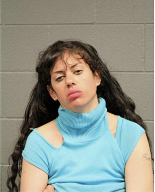 NICOLE LEVENCHUCK, Cook County, Illinois