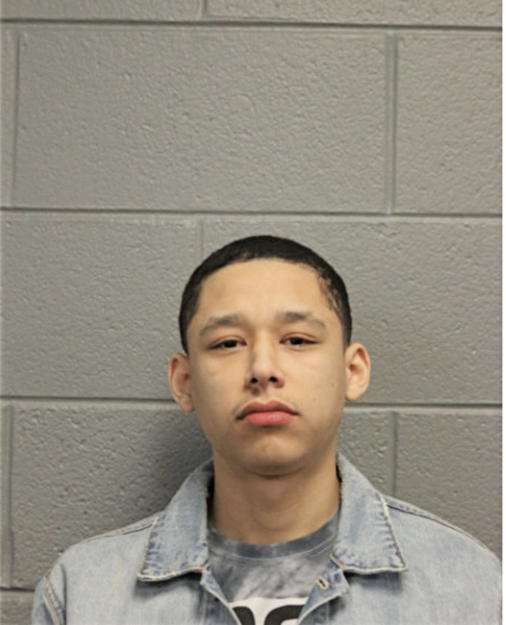 WILLIAM J LUPO, Cook County, Illinois