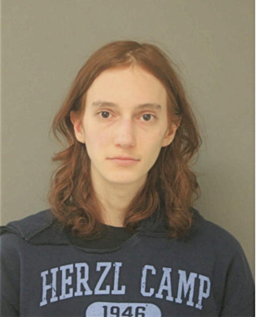 BENJAMIN Z MINTZ, Cook County, Illinois