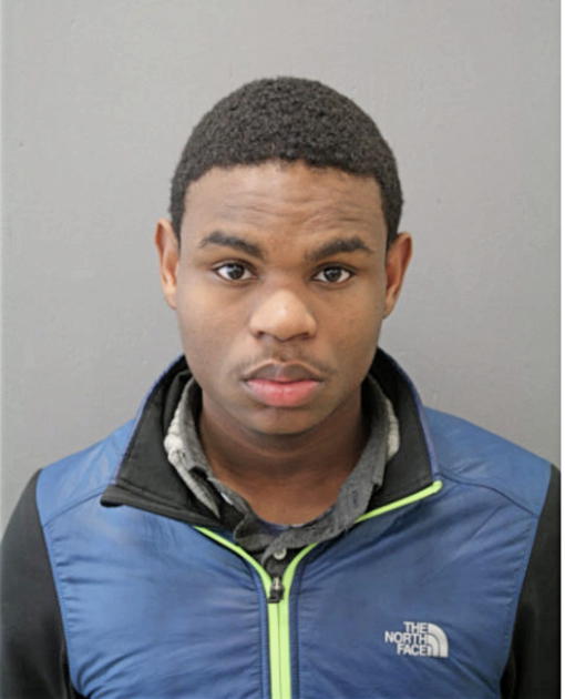 ANDREW J MORTON, Cook County, Illinois