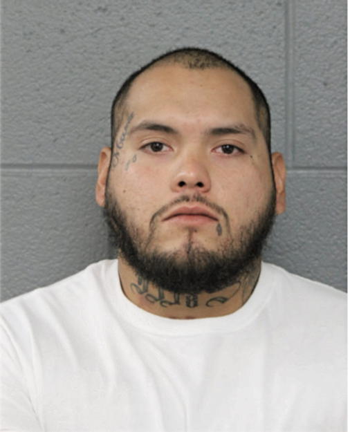 CHRISTIAN A OLVERA, Cook County, Illinois