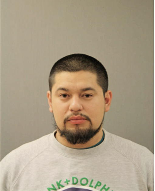 MIGUEL A PATINO, Cook County, Illinois