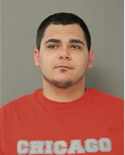 REINER R ARNOTT, Cook County, Illinois