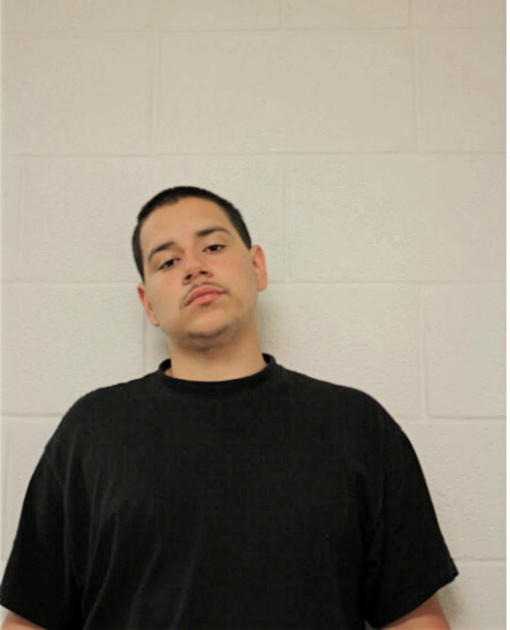 RAMON S REYES, Cook County, Illinois