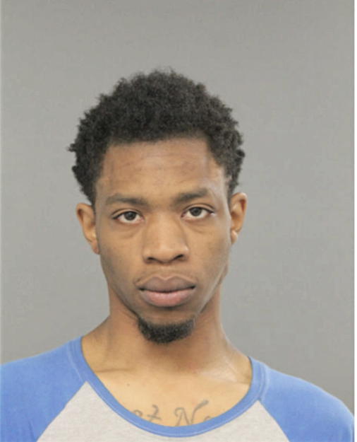 NATHANIEL C RICHARDSON, Cook County, Illinois