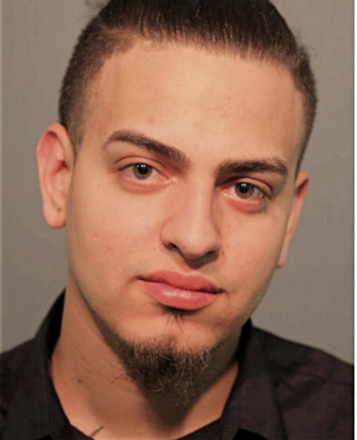 RAUL A RODRIGUEZ, Cook County, Illinois