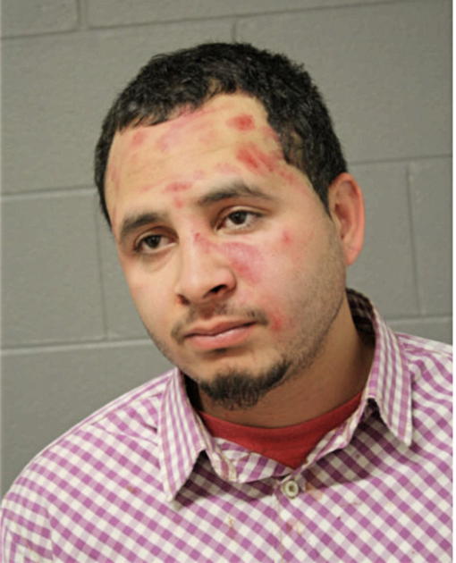 FRANK SANCHEZ, Cook County, Illinois