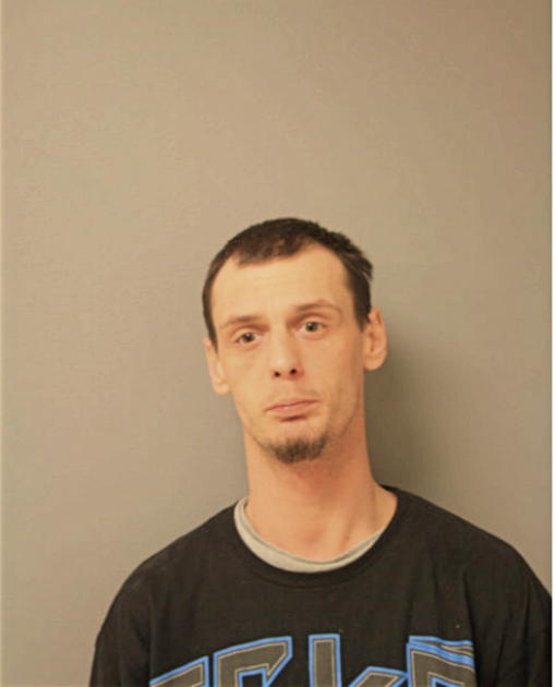 ANTHONY M SMETANA, Cook County, Illinois