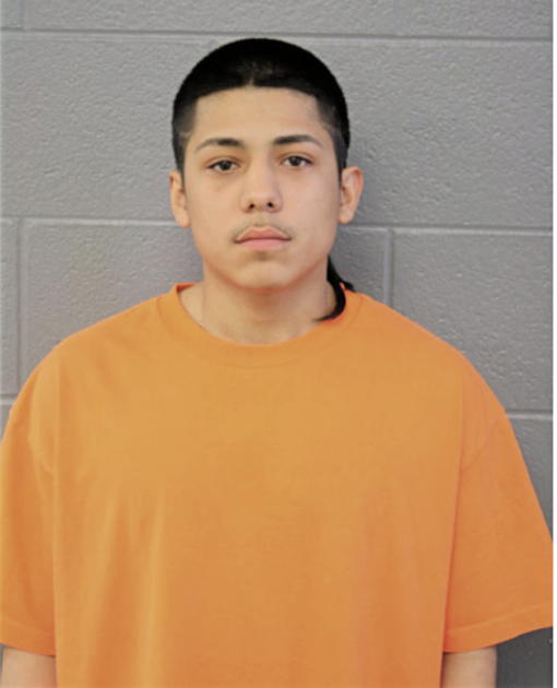 DAVID TORRES, Cook County, Illinois
