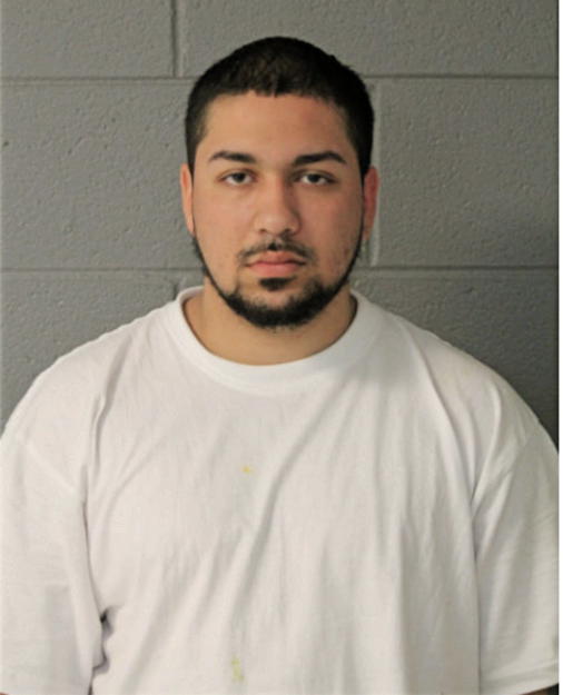 LEONARDO UNZUETA, Cook County, Illinois