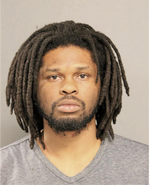 DENZEL D ANDERSON, Cook County, Illinois
