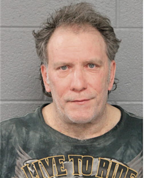 DAVID W ANSANI, Cook County, Illinois