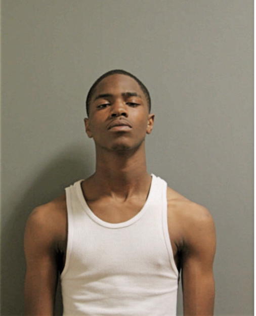 MATTHEW J BATES, Cook County, Illinois
