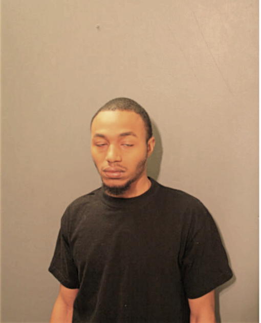 ARAIS C BINGHAM, Cook County, Illinois