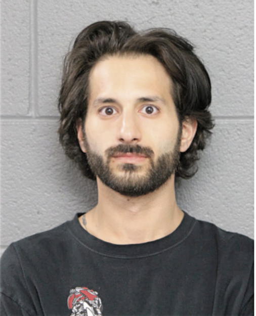 FRANK J BONAVOLANTE, Cook County, Illinois