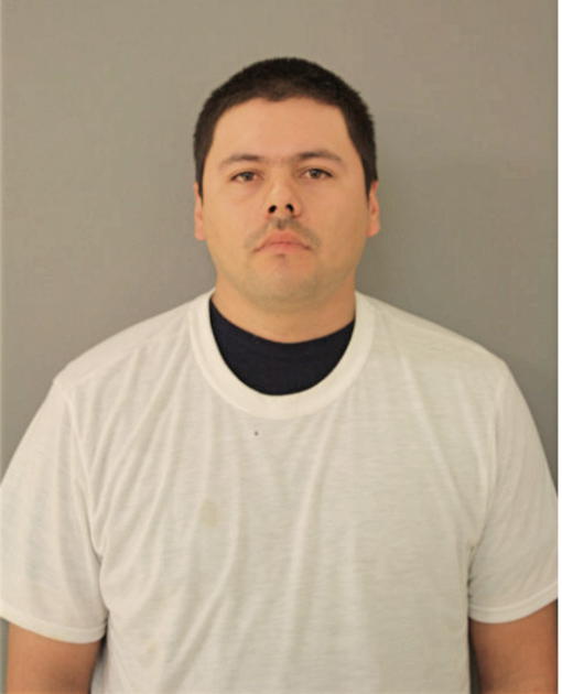 HECTOR M BRISENO, Cook County, Illinois