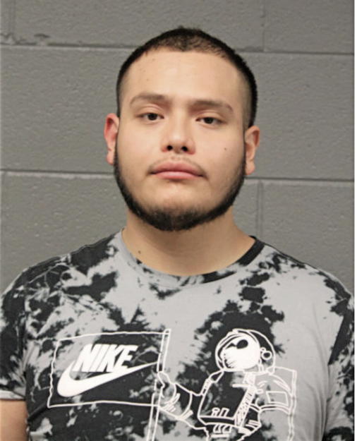 JESSE N CHAVEZ, Cook County, Illinois