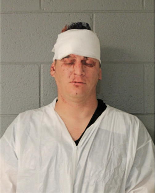 WILLIAM P FLAHERTY, Cook County, Illinois