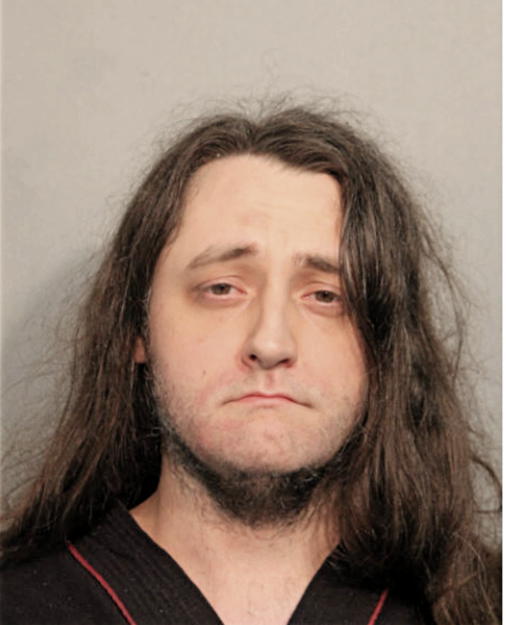 GLEN A FLEENER, Cook County, Illinois
