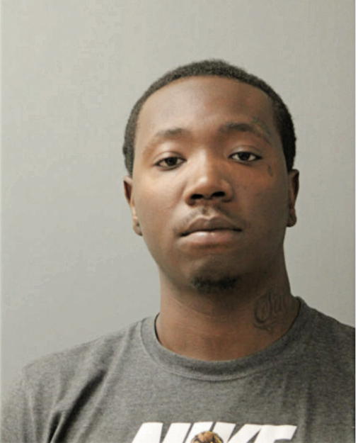 VLADIMIR J GEORGES, Cook County, Illinois