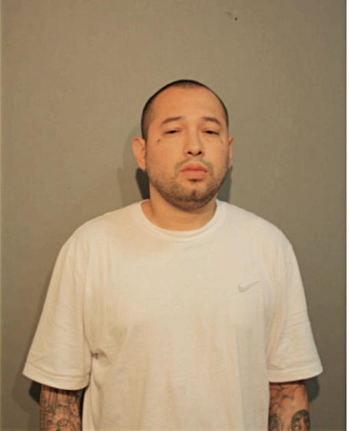 EDGAR GONZALEZ, Cook County, Illinois