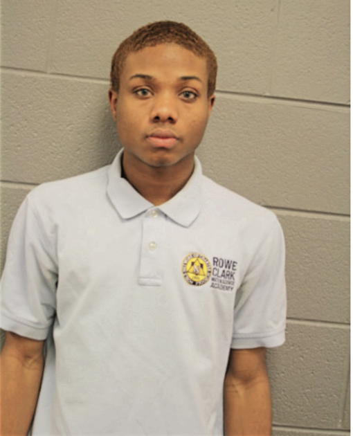 DEANDRE D HAMLER, Cook County, Illinois