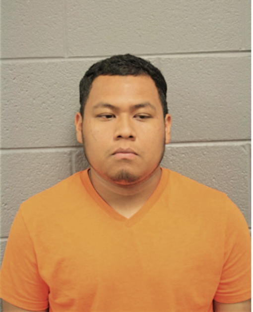 ALFREDO HERNANDEZ, Cook County, Illinois