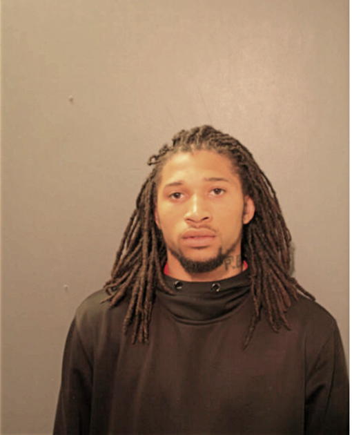 DANNY E JOHNSON, Cook County, Illinois
