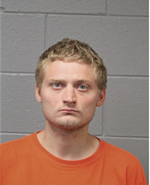 ARTEM KOZAKEVICH, Cook County, Illinois