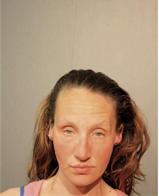 MICHELLE L LAUING, Cook County, Illinois