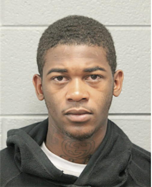 TION T LEWIS, Cook County, Illinois