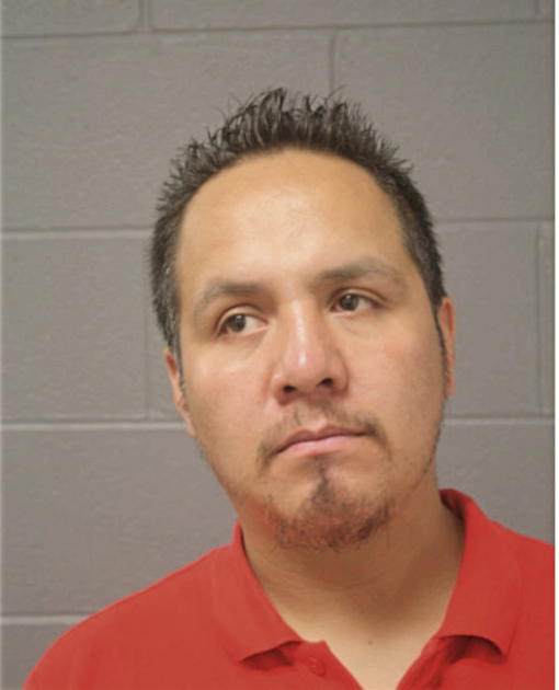 HUGO LUZ, Cook County, Illinois